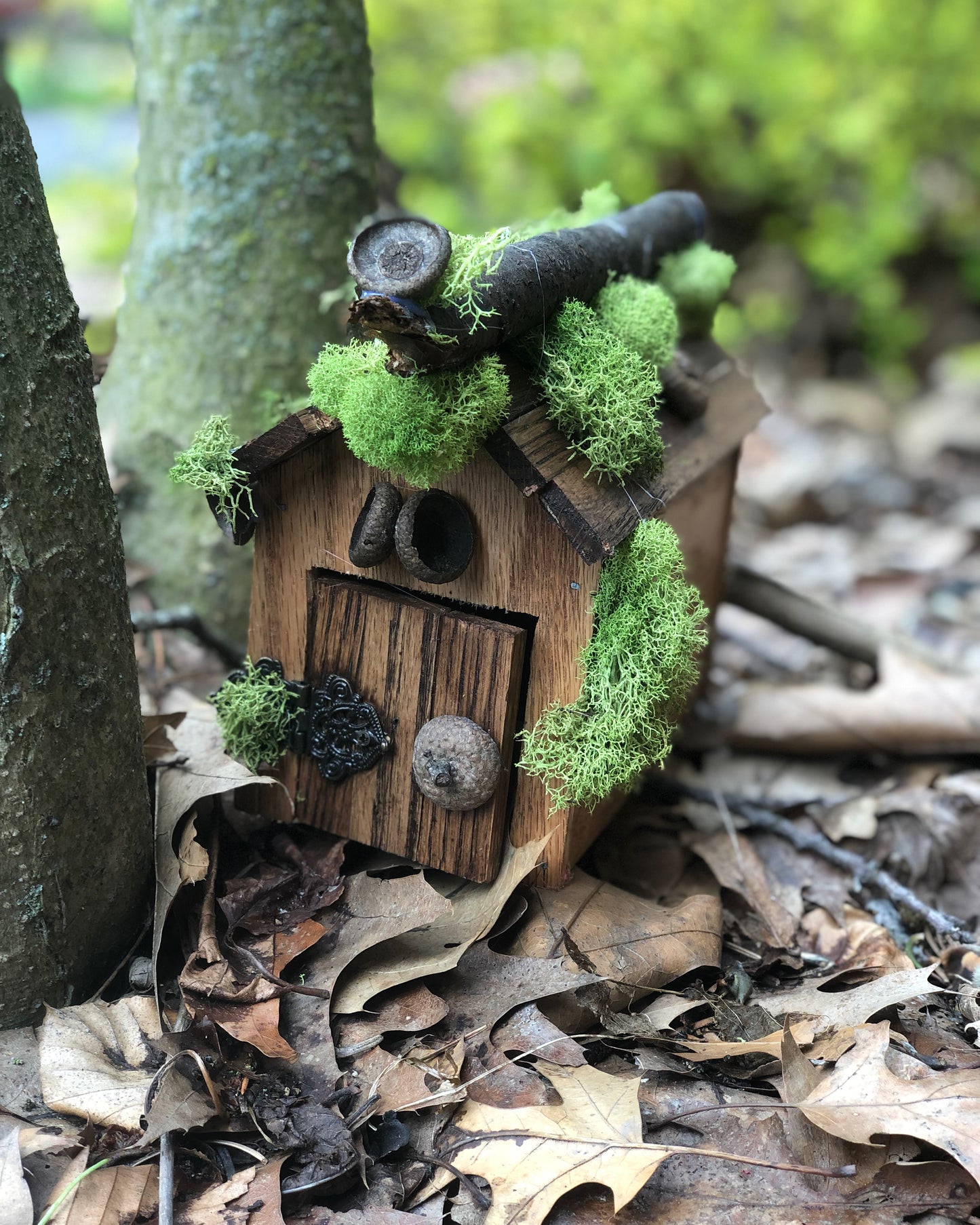 Fairy House